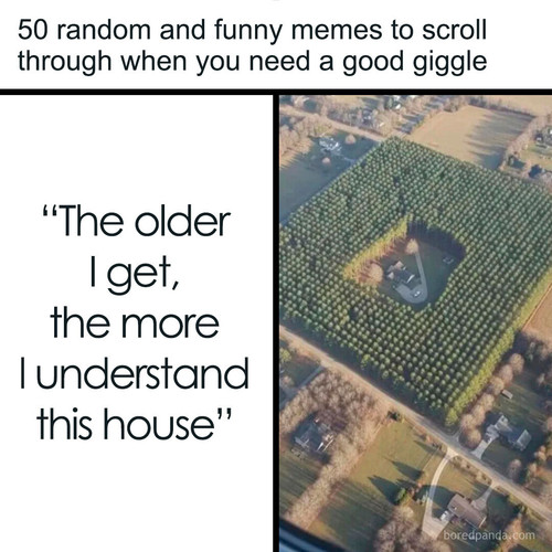 funny memes.jpg