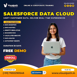 Salesforce Data Cloud Training | Salesforce Data Cloud Course.jpg