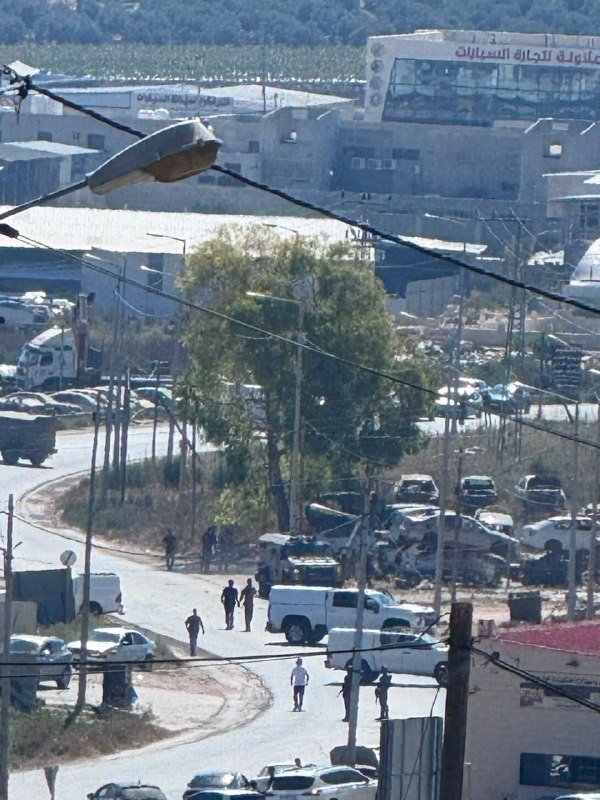 صورة الخبر