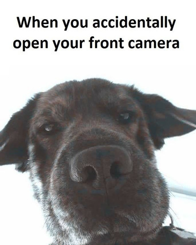 8SzwQc8j2KJZWBXFXnbnQ1FtoZhRqrTWozhqoqWHpGmpmnKiSnPjZL2udsQbDwz4U8jnWhqK57pGKRJUqVVVU7JFbRU72yWDsxJi.jpg