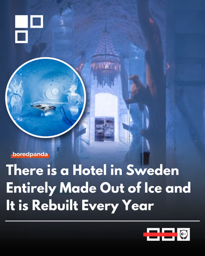 2 images (1).png