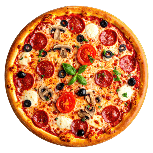 pizza burger sandwich (4)