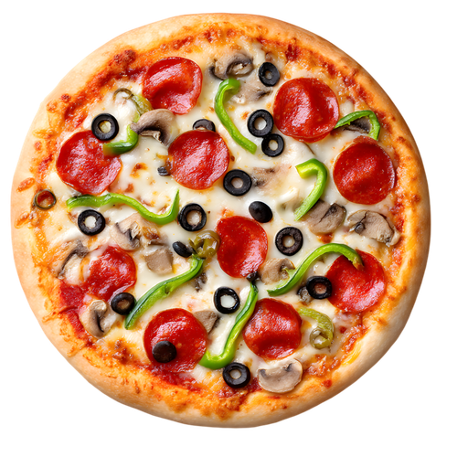 pizza burger sandwich (2)