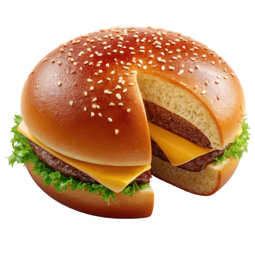 pizza burger sandwich (13)