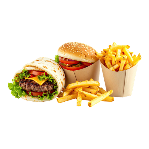 pizza burger sandwich (9)