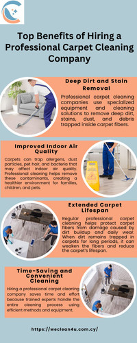 Top Benefits of Hiring a Professional Carpet Cleaning Company.jpg