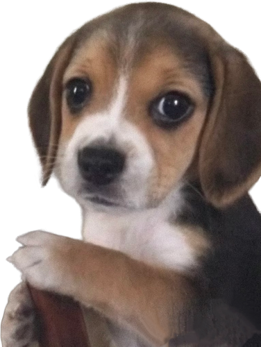 1000134348.png