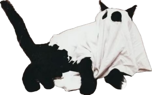 1000134349.png