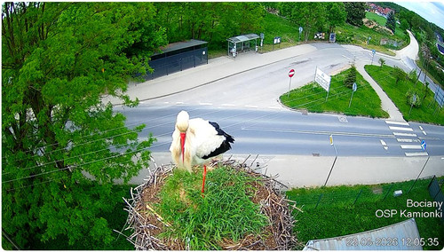 MWSnap548.jpg