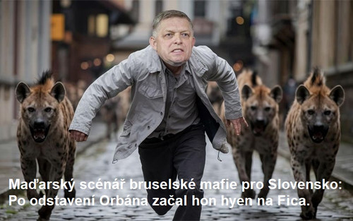 fico hyeny.jpg