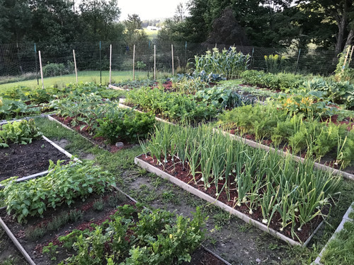 Garden.jpg