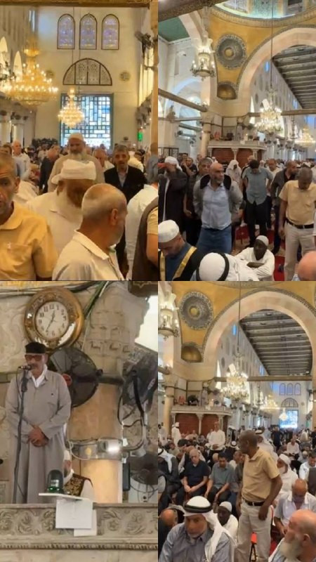 صورة الخبر