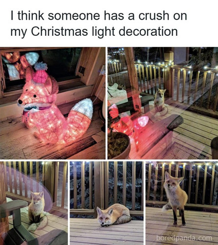 FB May 204 wholesome internet posts pics.jpg