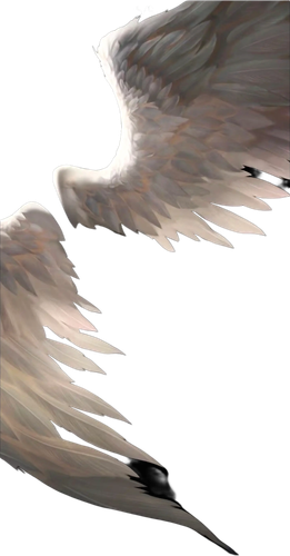 1000132014.png