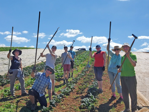 the community farm volunteers.png