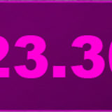 23300