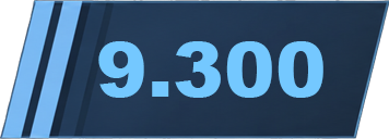 9300.png