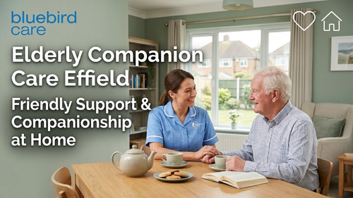 Trusted Elderly Companion Care Enfield for Independent Living.png