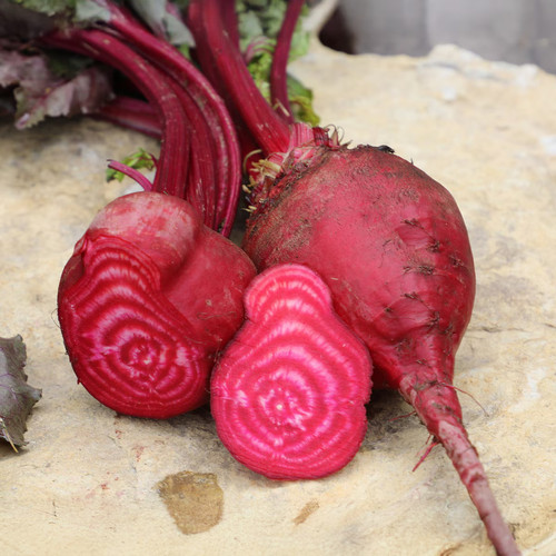 0610 bulls blood beet organic.jpg