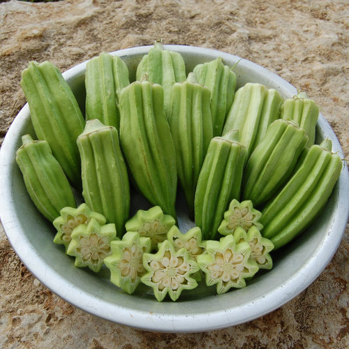 0643 star of david okra organic.jpg