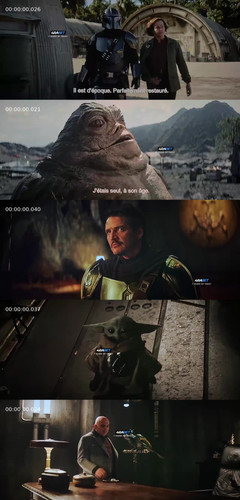 InCollage 20260522 174702828.jpg