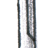 Mace.png