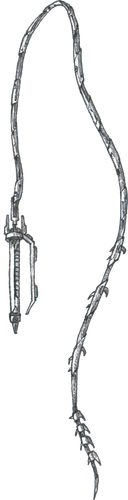Whip.png