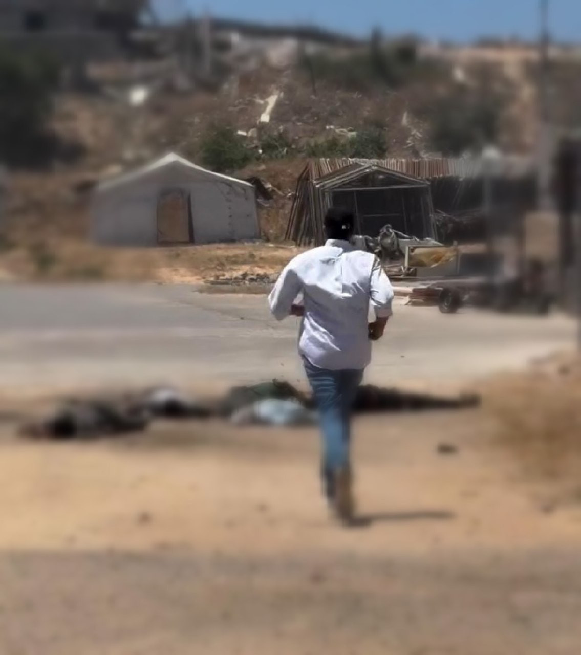صورة الخبر