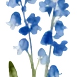 retouch 2026052317253660.png
