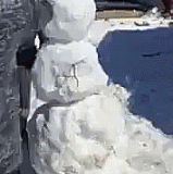 2205 4 yapfiles.ru.gif