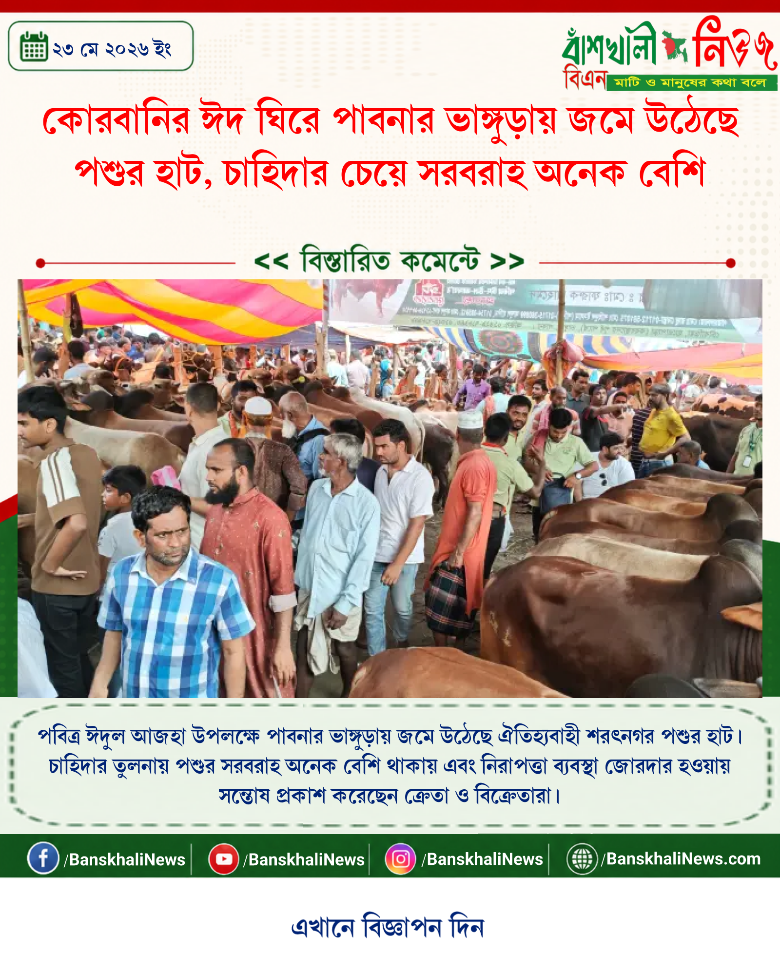 কোরবানির ঈদ ঘিরে পাবনার ভাঙ্গুড়ায় জমে উঠেছে পশুর হাট, চাহিদার চেয়ে সরবরাহ অনেক বেশি