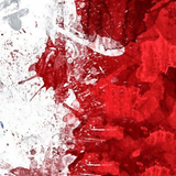 CHncpx2.th.png