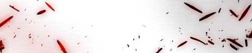 overlay.png