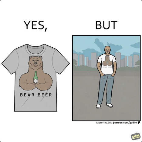 bear.png