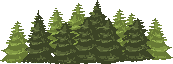 IMG 9160.gif