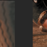 North by Northwest (1959) 4320p HDR Ai Upscale Screenshot2 Mesc