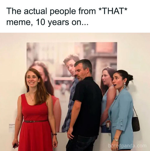 funny memes random jokes.jpg