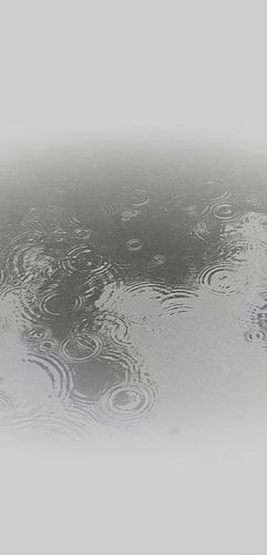 IMG 7377.png