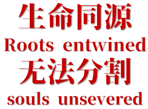 图片27.png