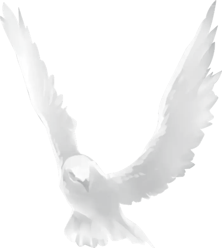 1781631604379.png