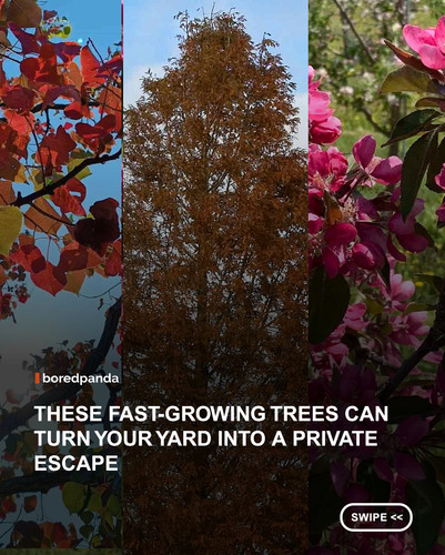 swipe to read (1).jpg