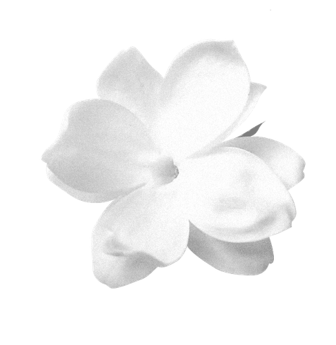 IMG 7396.png