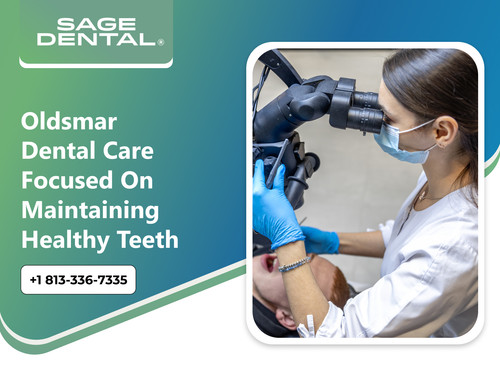 Oldsmar Dental Care Focused on Maintaining Healthy Teeth.jpg
