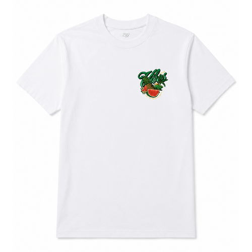 Camiseta ZGY Estampada Variada Unidade (2) (1).png