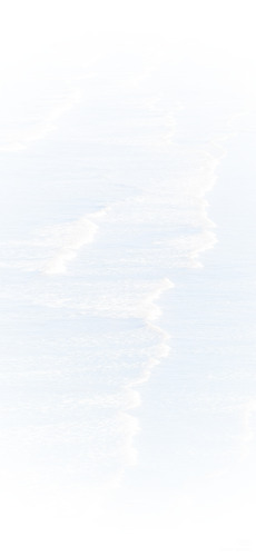 1782135184617.png