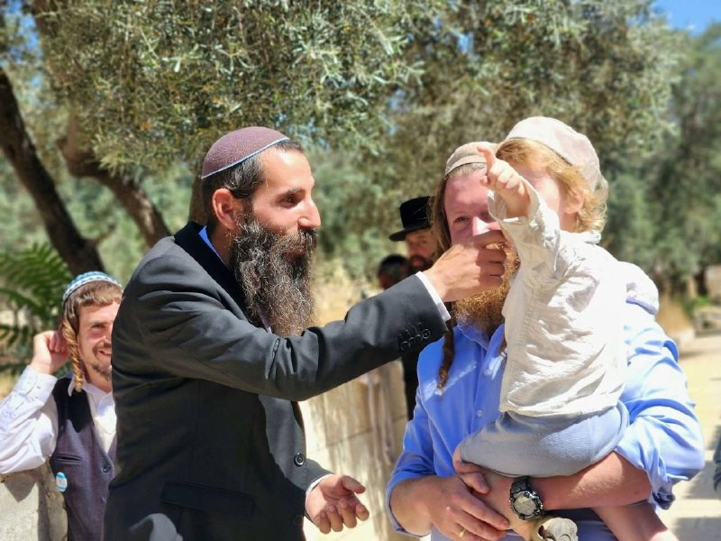 صورة الخبر