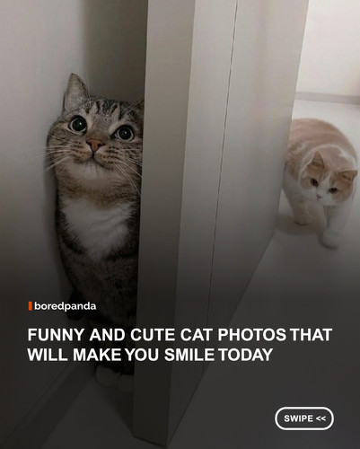 swipe to read.jpg