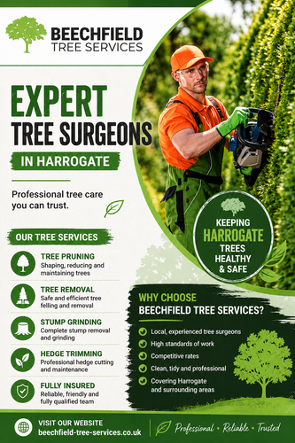 Professional Tree Care Services.png