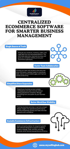Centralized Ecommerce Software for Smarter Business Management.jpg