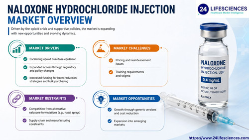 httpswww.24lifesciences.com 2026 06 22T120040.254.jpg